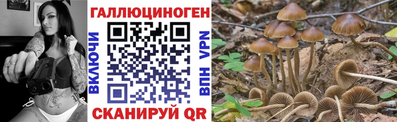 Псилоцибиновые грибы мицелий  Назарово 
